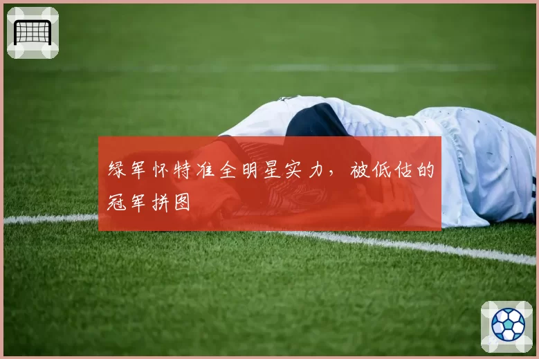 绿军怀特准全明星实力，被低估的冠军拼图