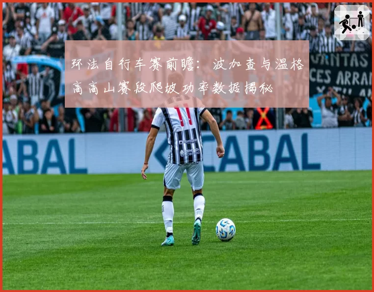 环法自行车赛前瞻：波加查与温格高高山赛段爬坡功率数据揭秘