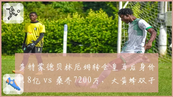多特蒙德贝林厄姆转会皇马后身价1.8亿 vs 桑乔7200万，大黄蜂双子星转会费涨幅对比