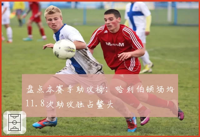盘点本赛季助攻榜：哈利伯顿场均11.8次助攻独占鳌头